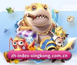 关于我们 - 体育资讯支持服务(XINGKONG SPORTS)