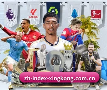 星空体育网址 APP - XINGKONG SPORTS
